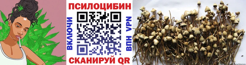 Купить закладки  Чулым  Псилоцибиновые грибы мухоморы 